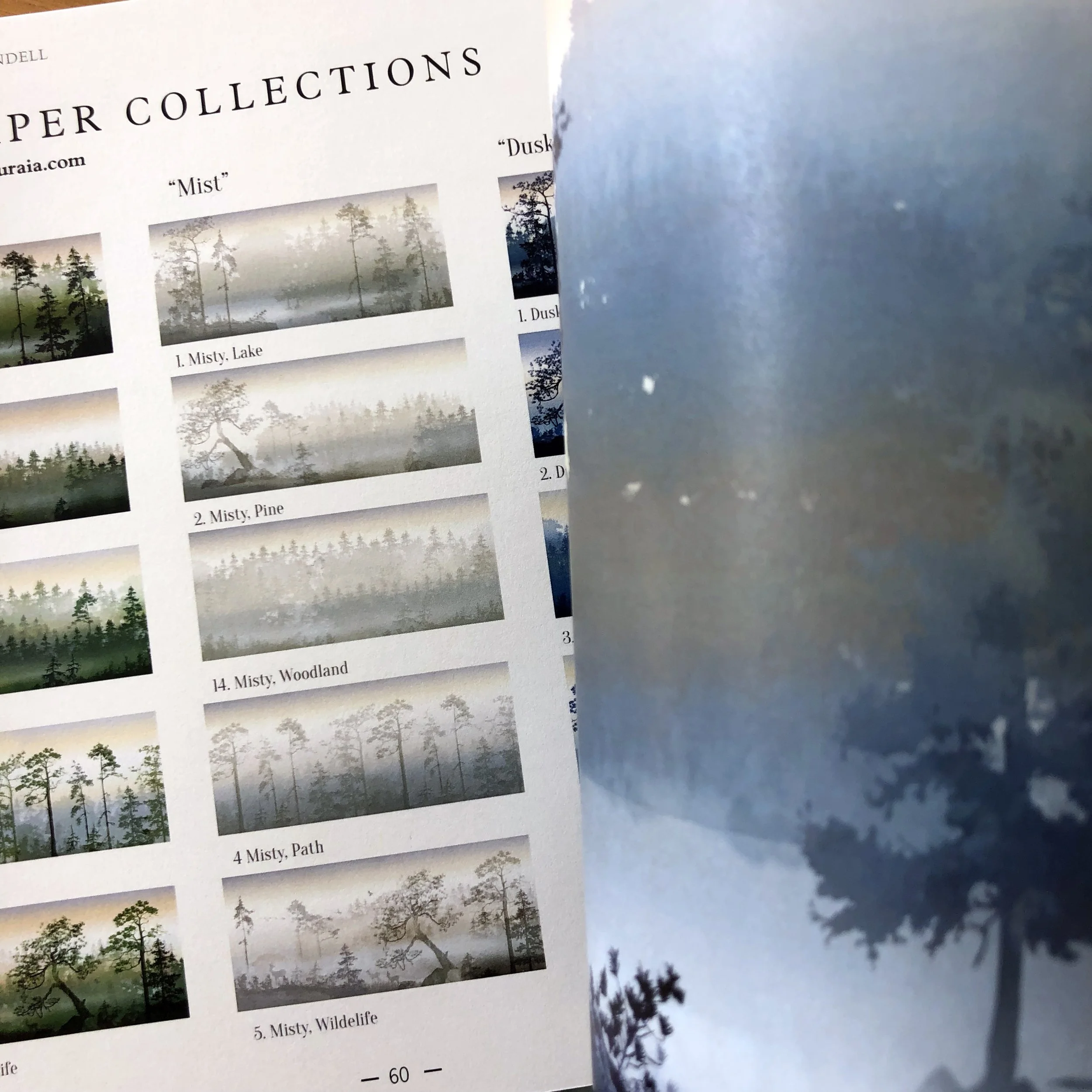 IMG_8979 kopiera.jpg