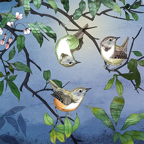 bild-lilla (kopia).jpg