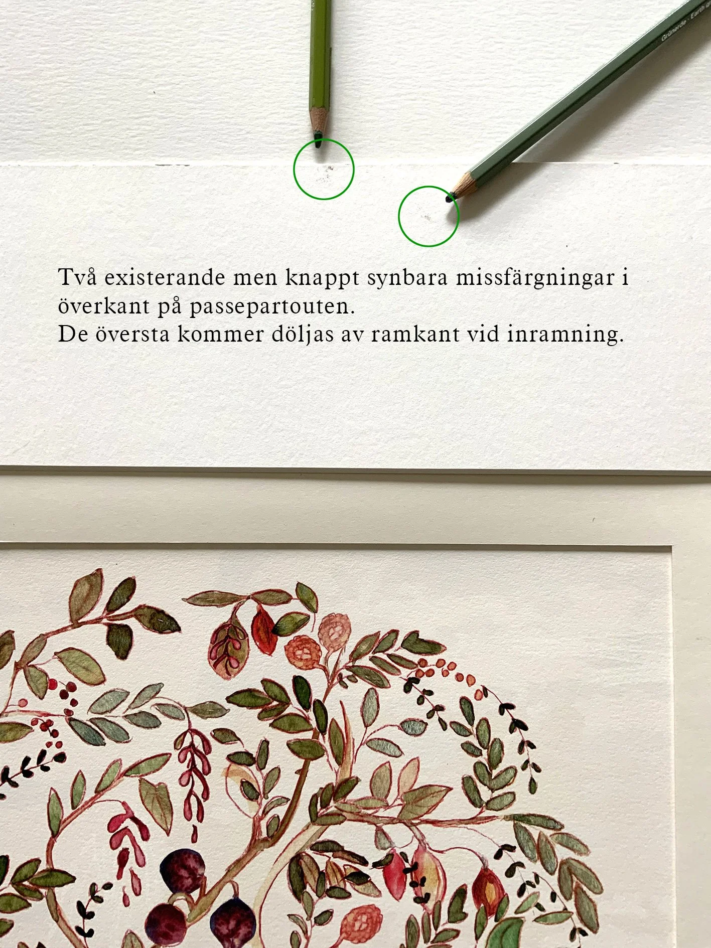 liten missfärgning-passepartout.jpg