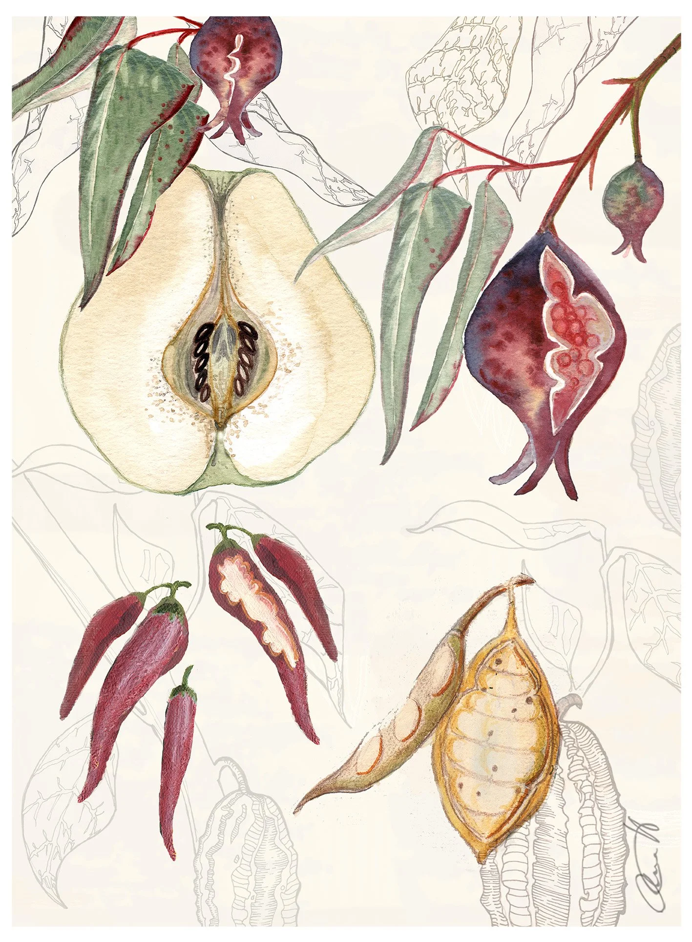 fruktkropp-annahandell.jpg