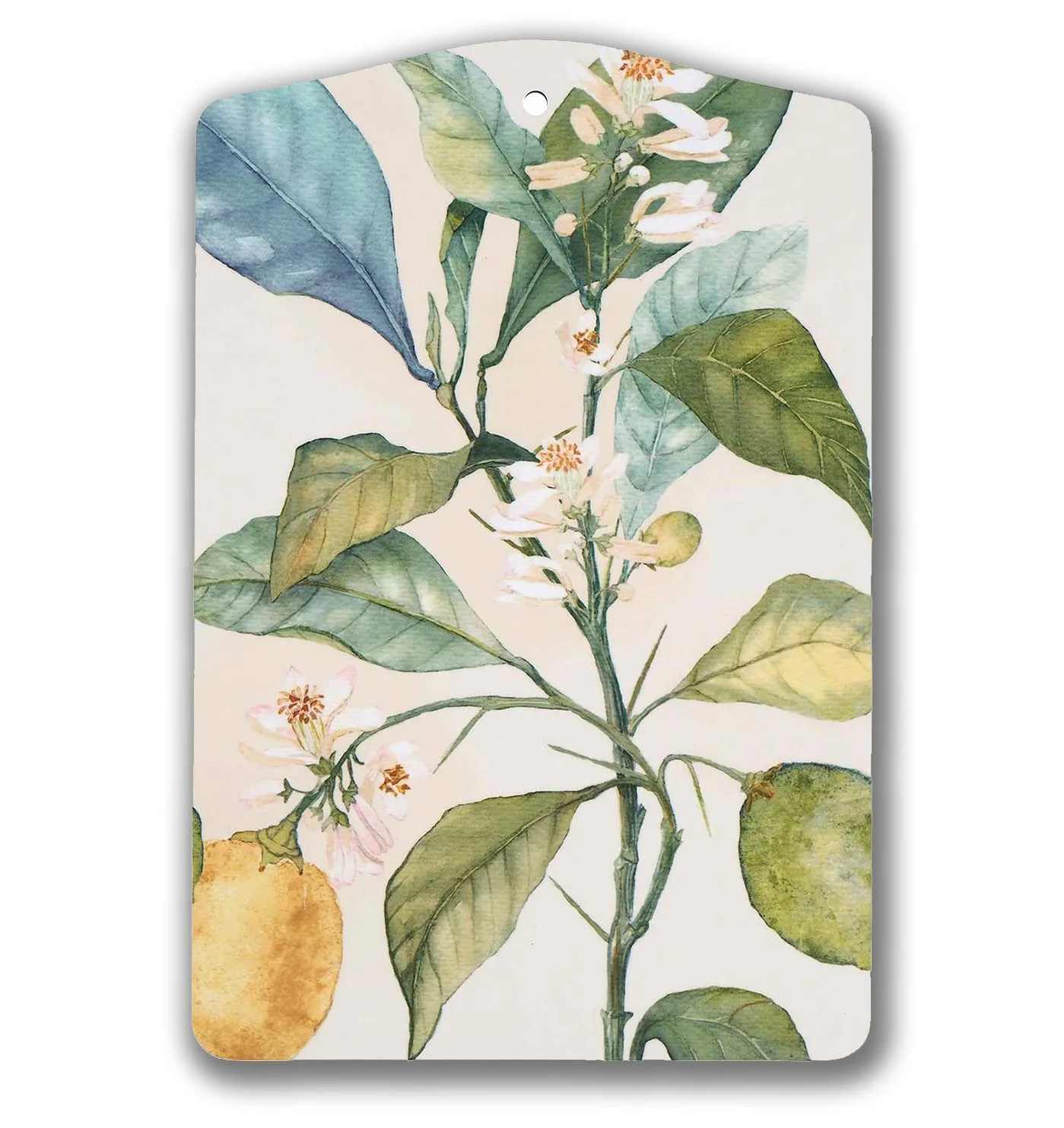 CitruscuttingboardAnnahandell-klippan kopiera.jpg