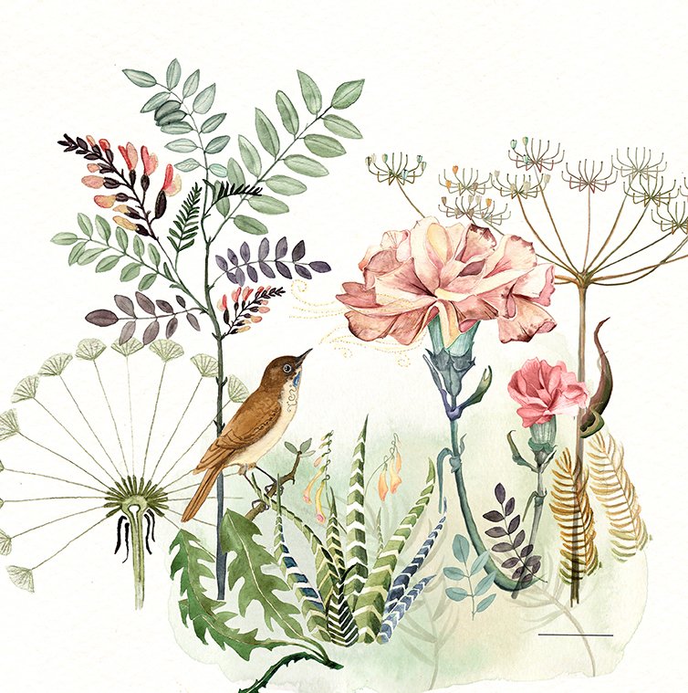 nightingale-florytale-annahandell-design 72.jpg