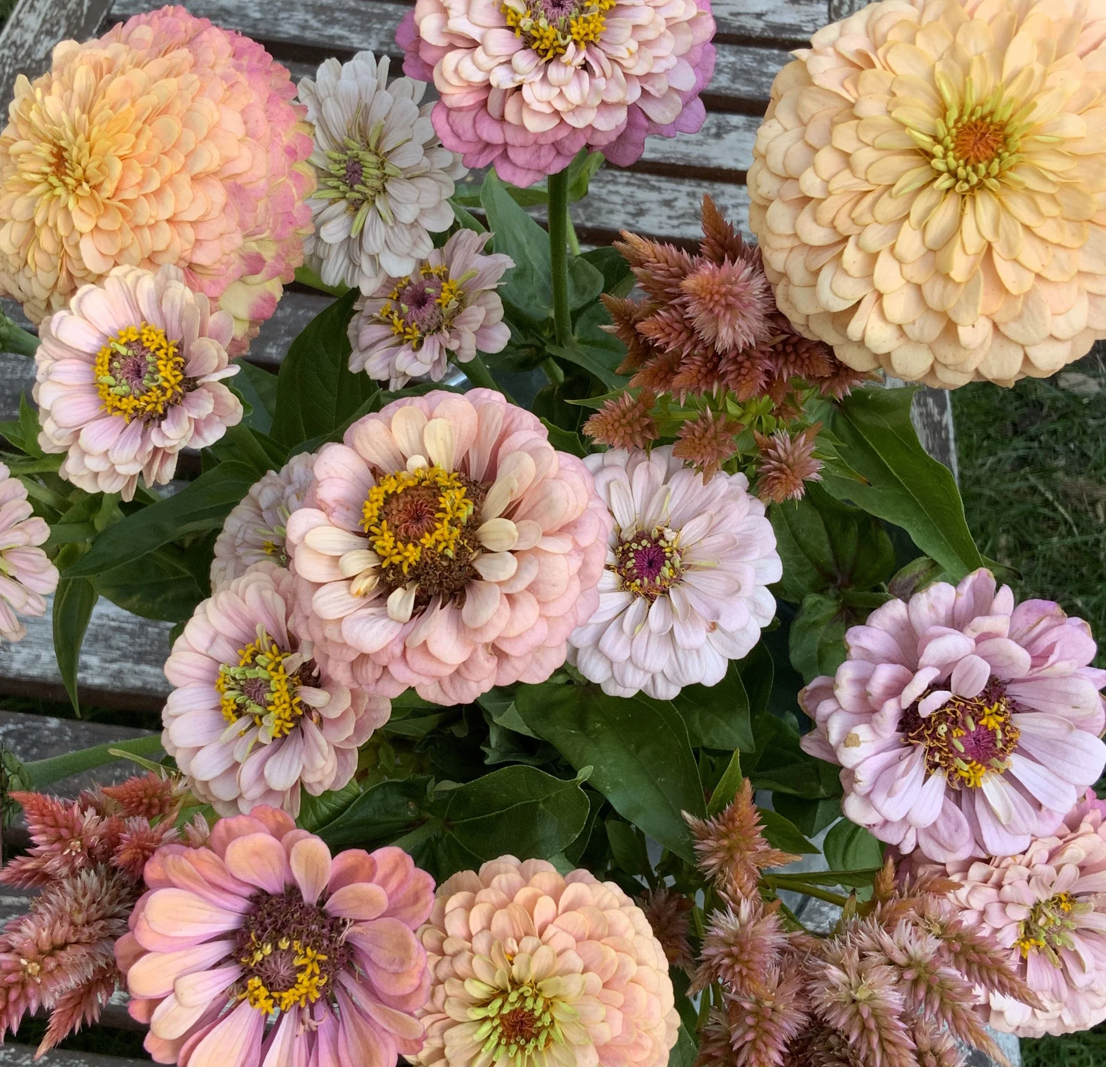 KaramellMix-zinniahandellpastell-annahandell3.jpg