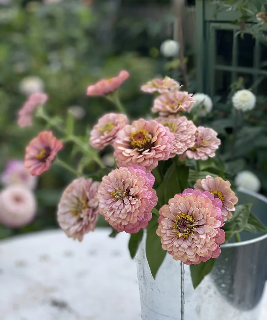 1KaramellMix-zinniahandellpastell-annahandell.jpg