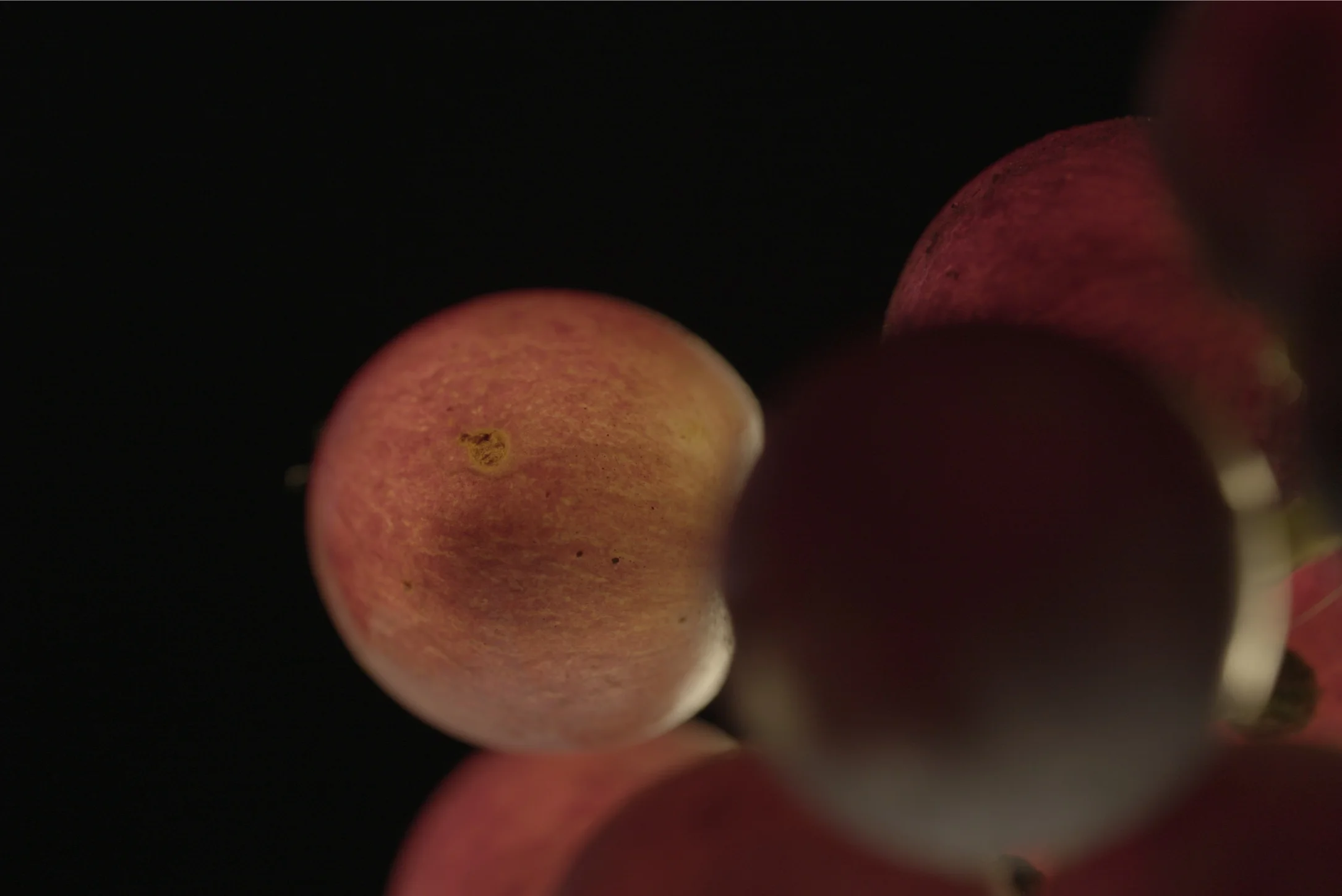 Preparing the Teaser