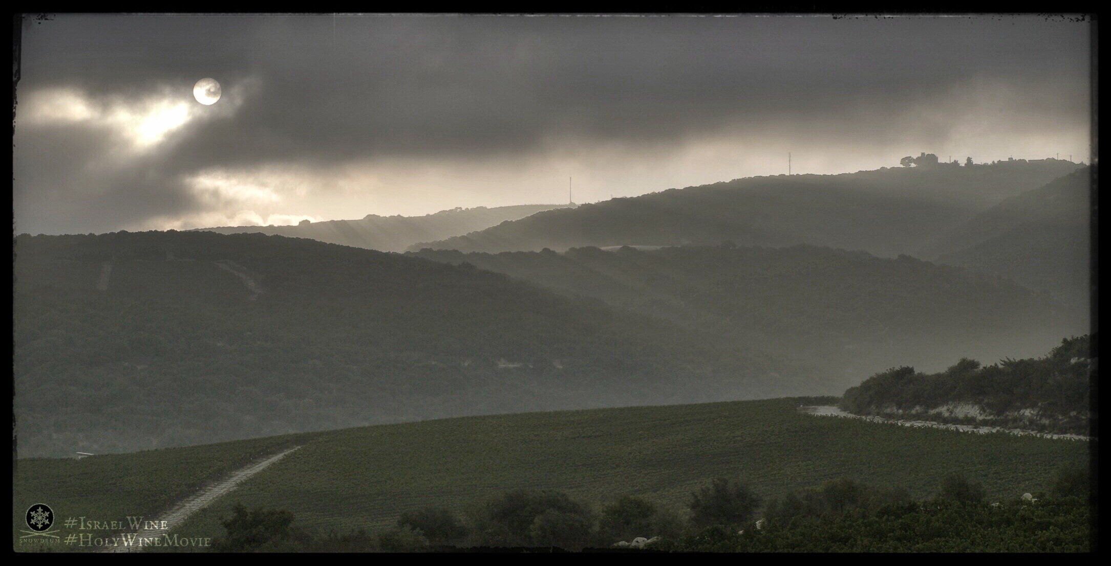 Sunrise Elkosh Vineyard Hills.jpg