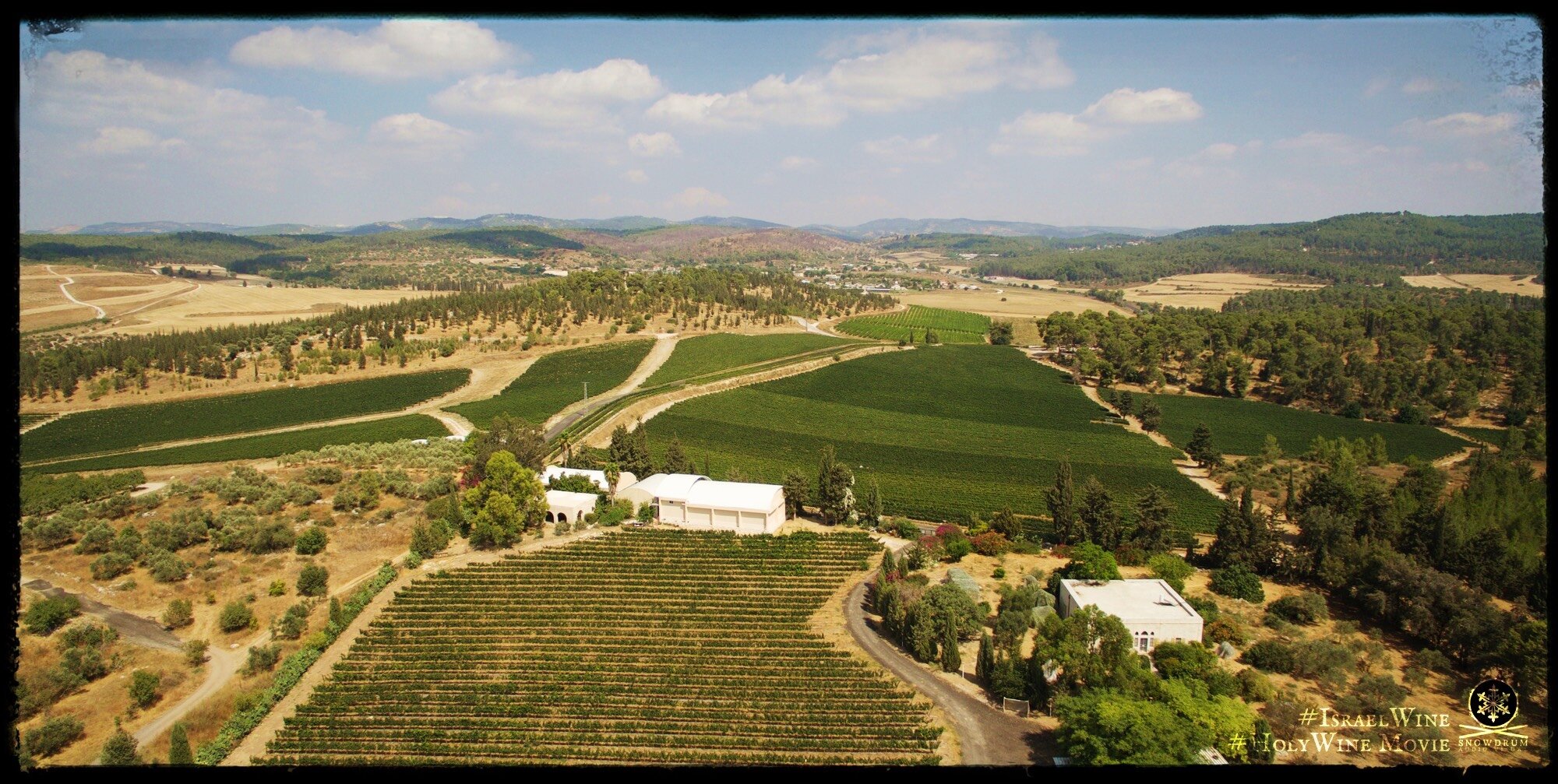 Clos de Gat Winery & Vineyards Aerial.jpg