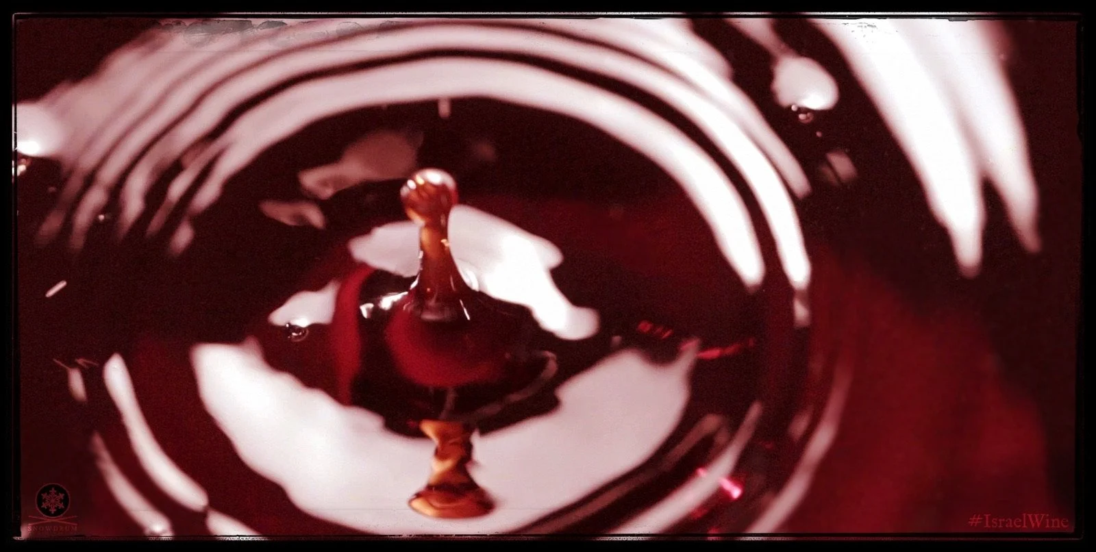 יין קדוש בקיבוץ יודפת