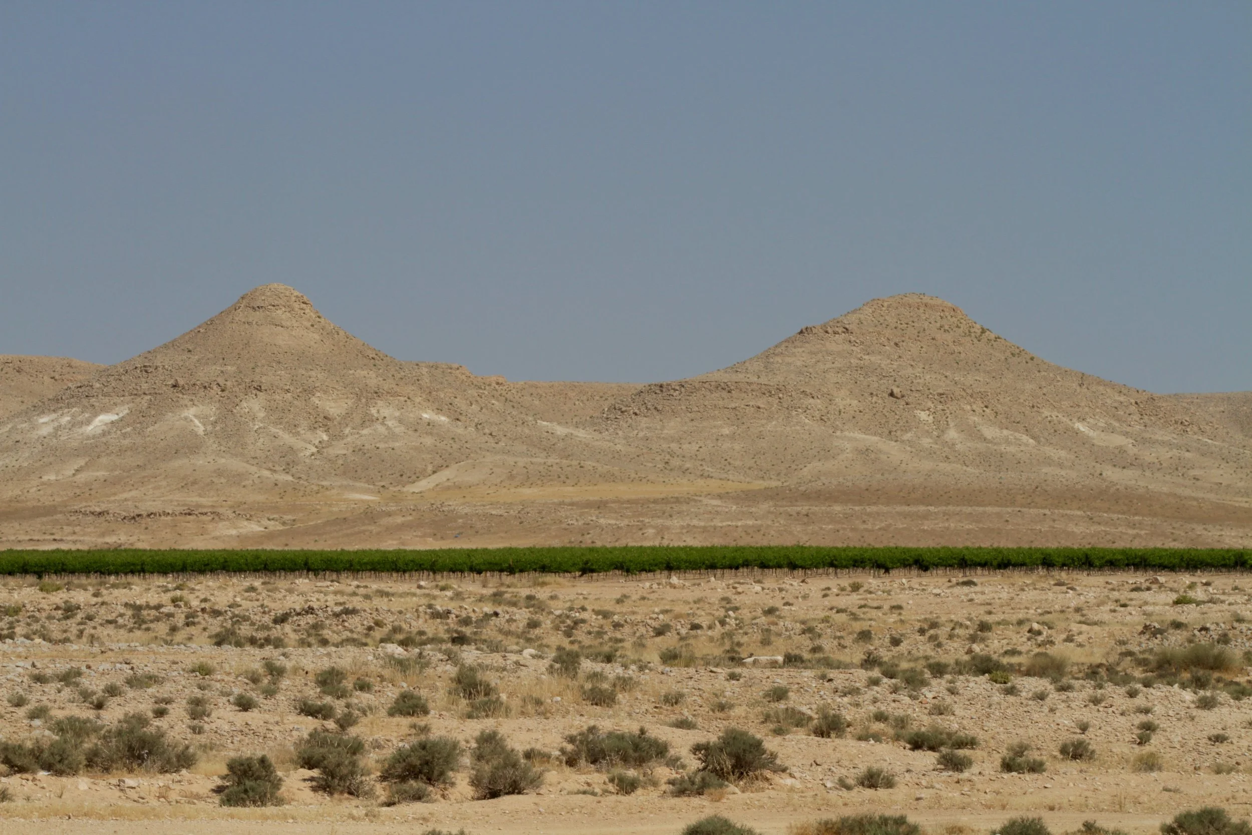 Holy Wine at Mitzpe Ramon!