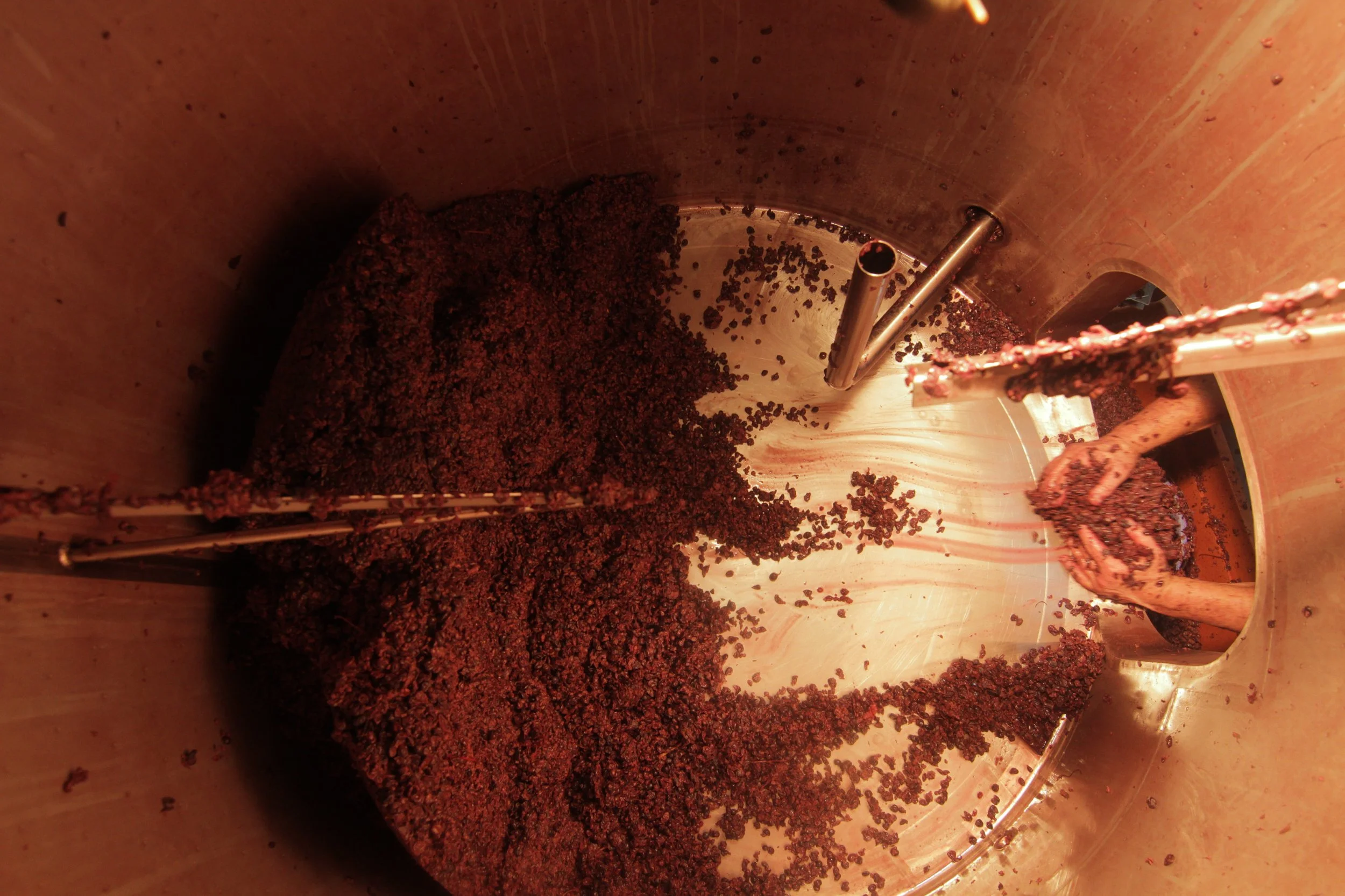 ׳יין קָדוש׳ בסינמטק ראש פינה