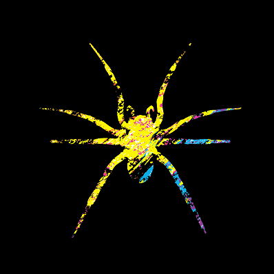 BANNER HORIZONTAL.png