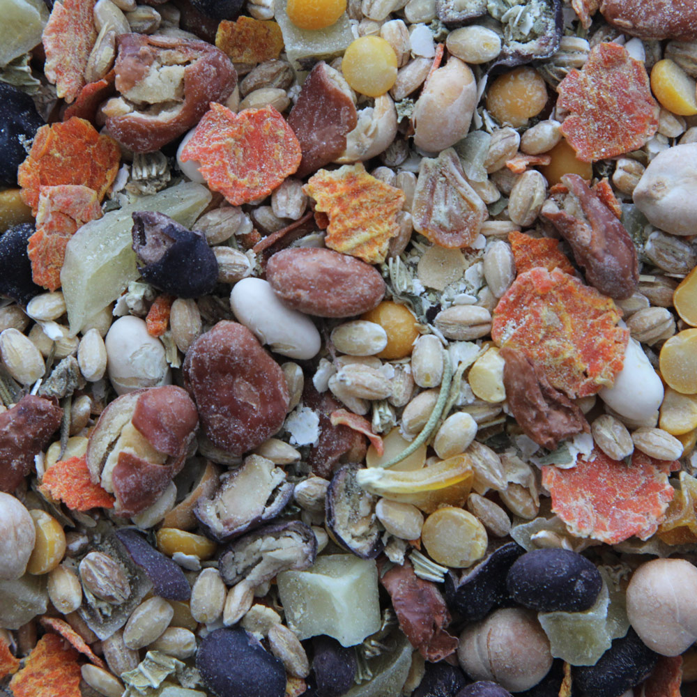 Inca Bean Salad Uncooked (product detail)