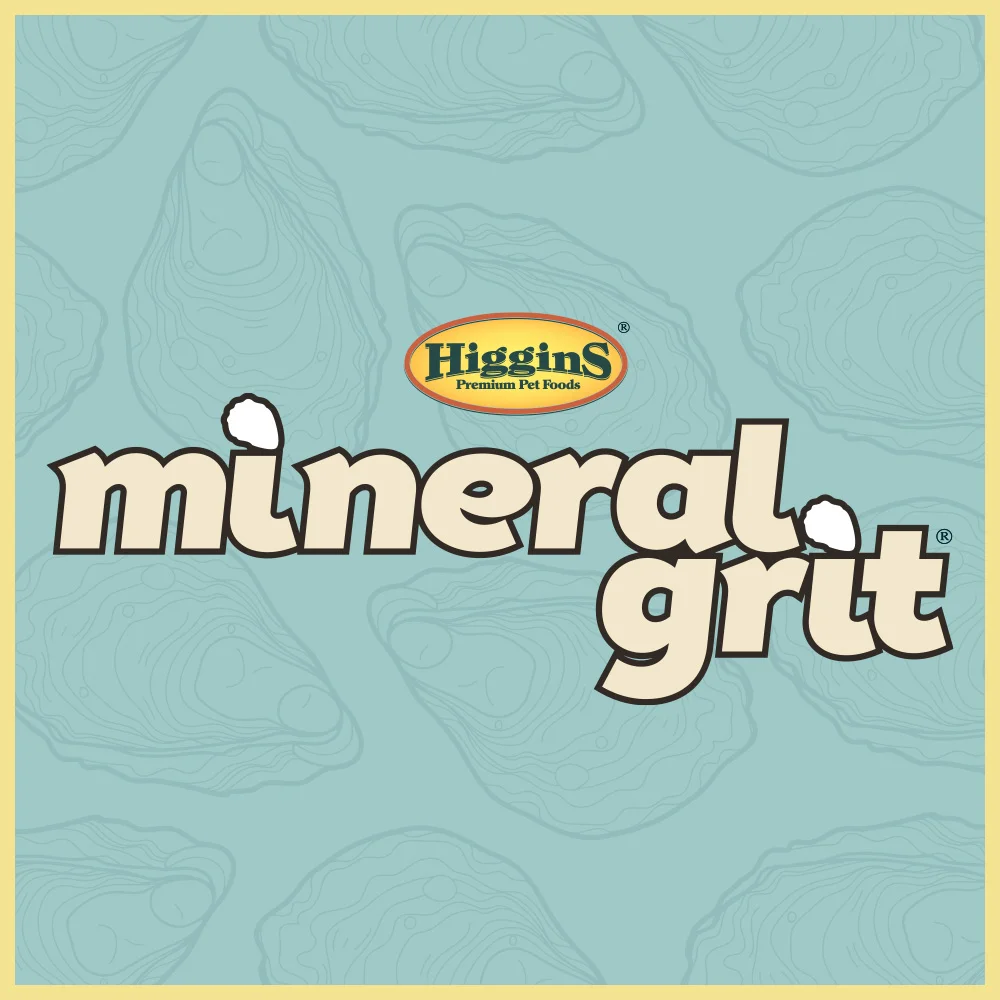 MineralGritEntry.jpg
