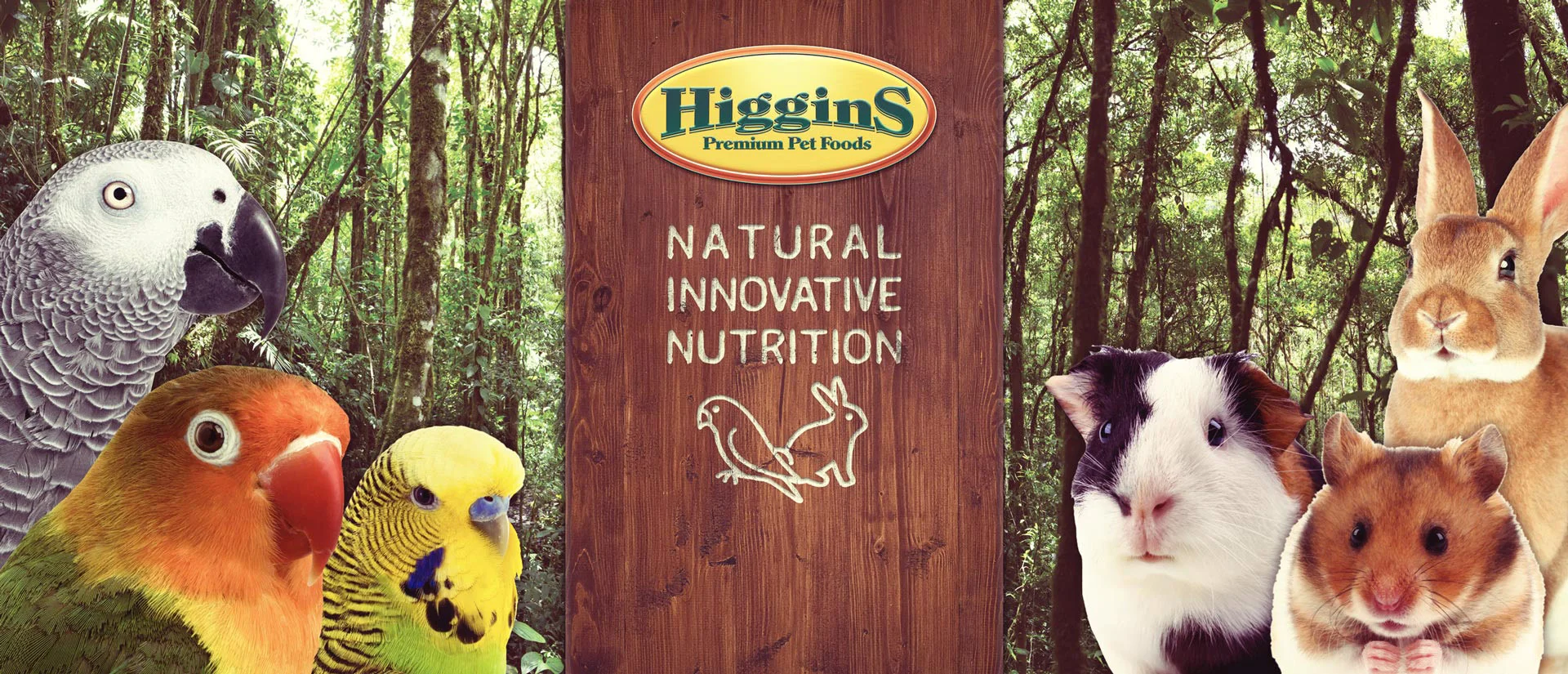 higgins bird food