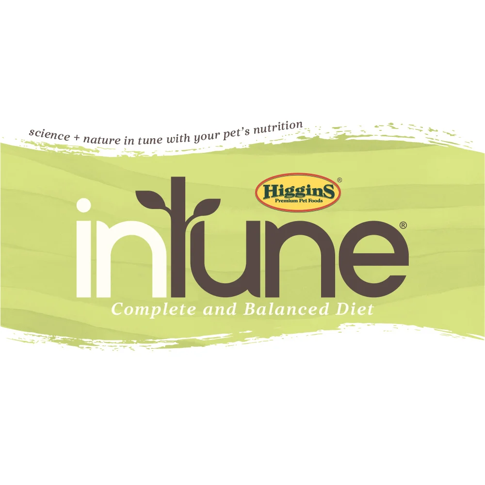 inTuneEntryLogo.jpg