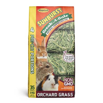 Orchard Grass