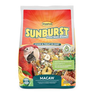Sunburst Macaw