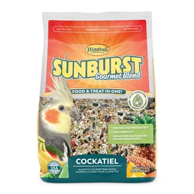 Sunburst Cockatiel