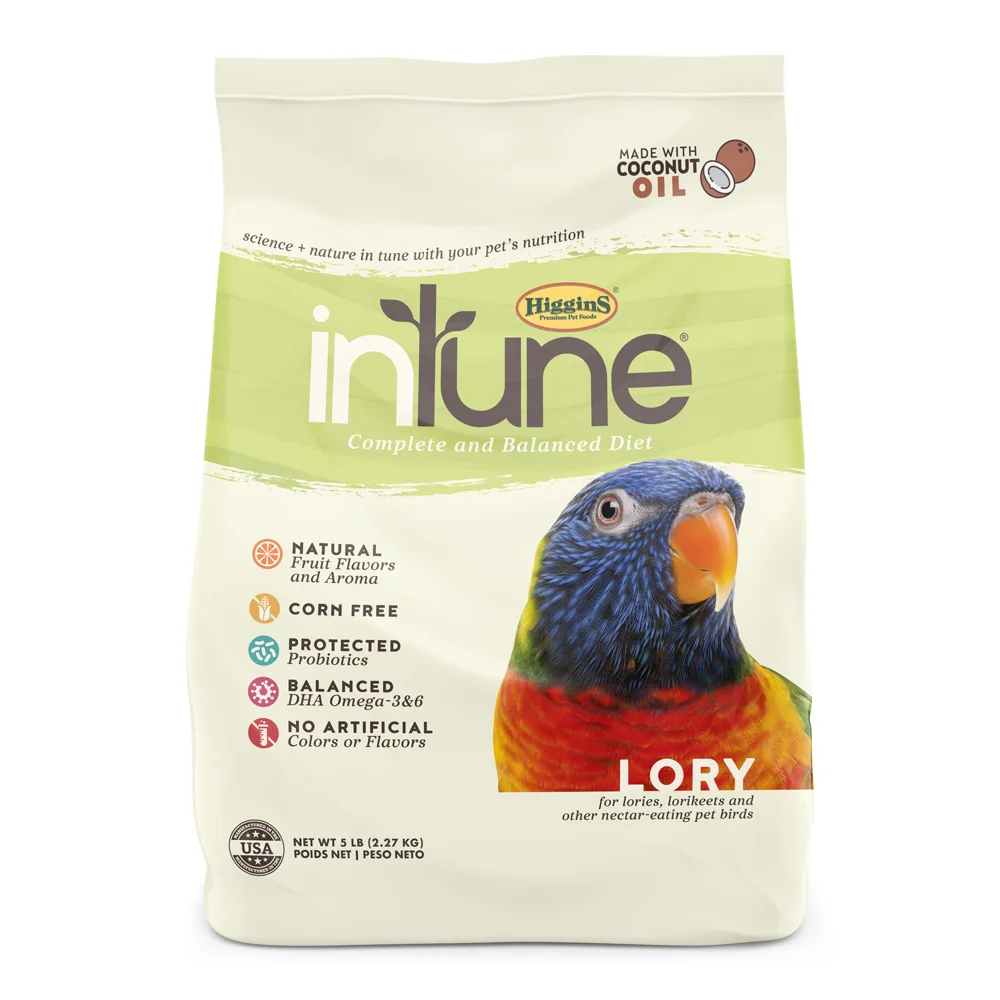 inTune Lory Food
