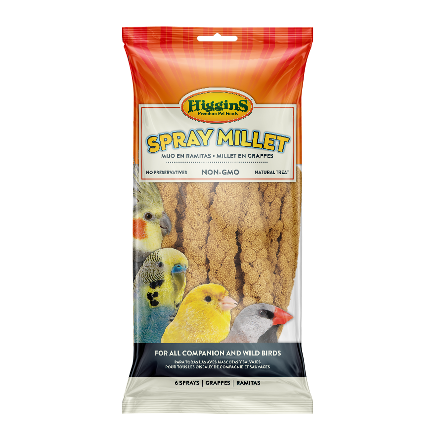 Spray Millet