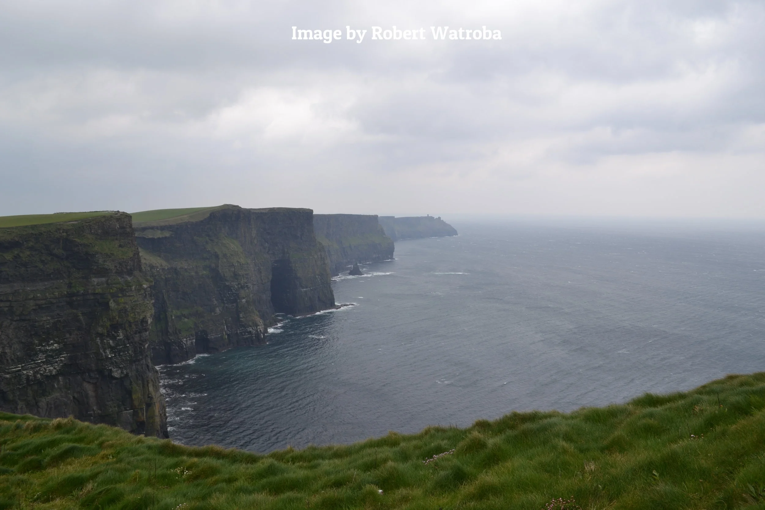 DSC_0344.JPG