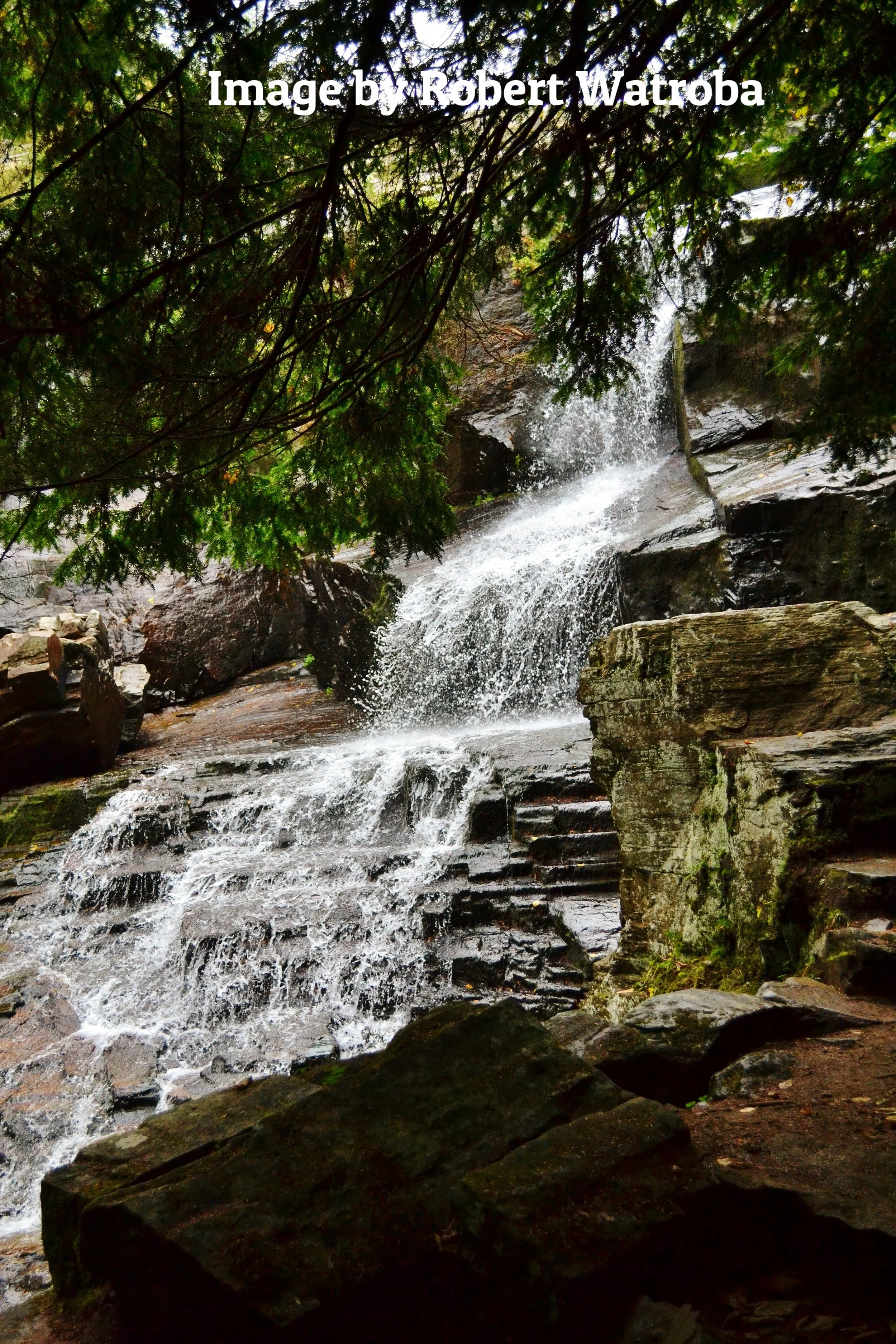 DSC_0471.JPG