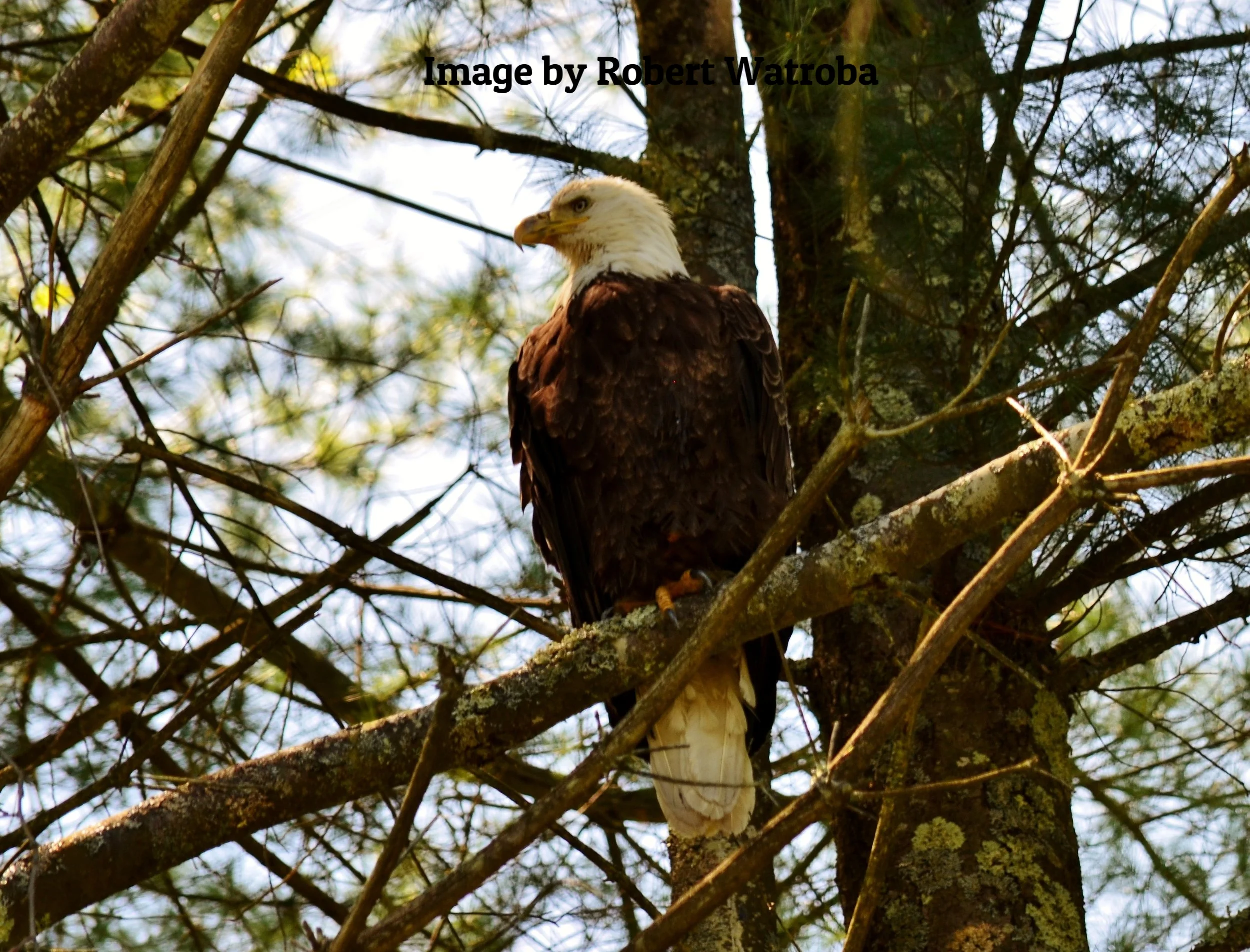 DSC_0271.JPG