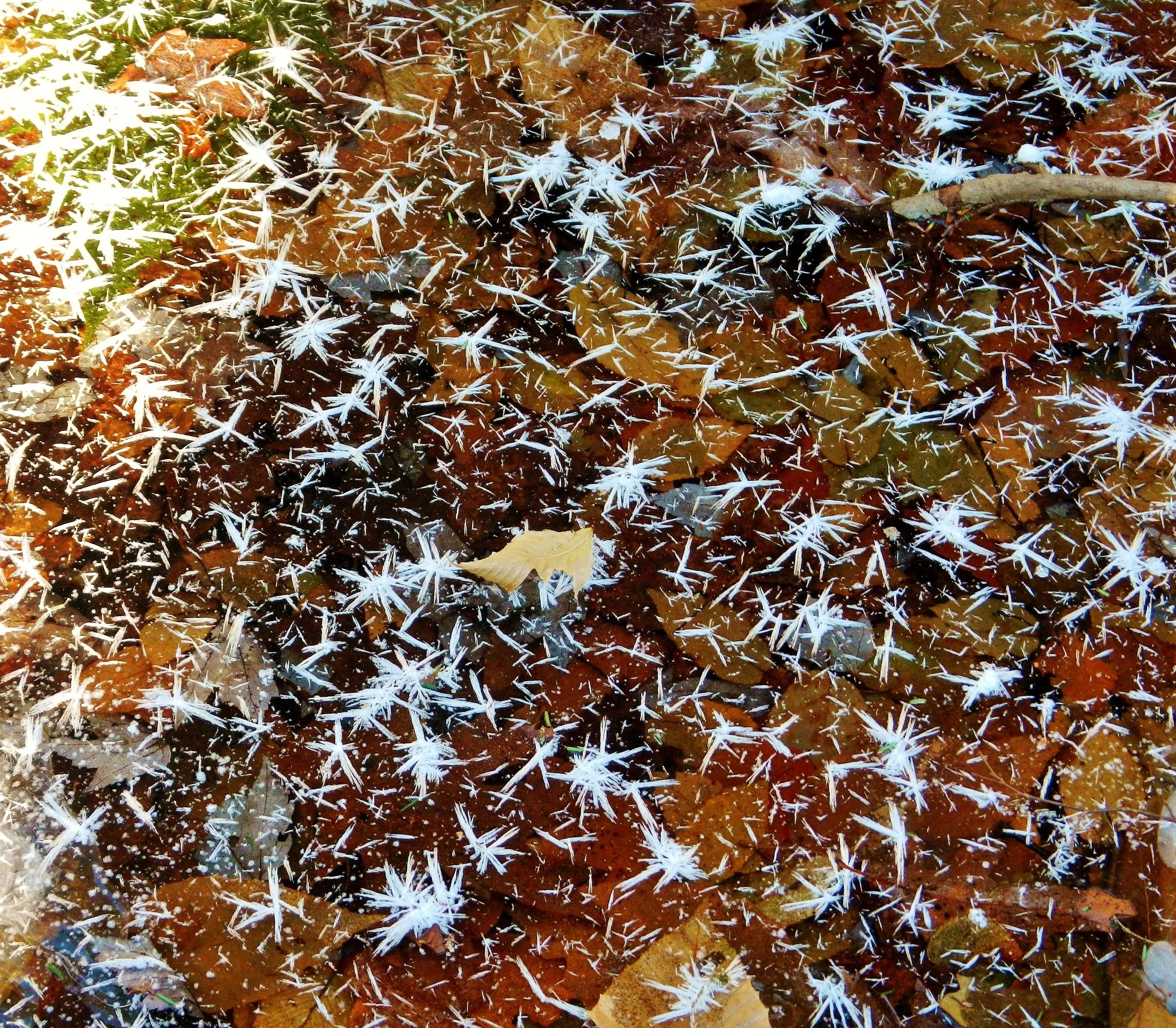 DSCN2146.JPG