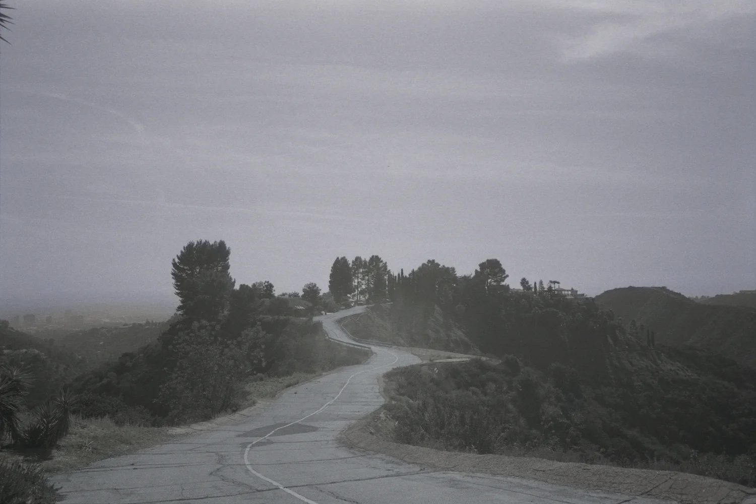 2001_SA_01.jpg