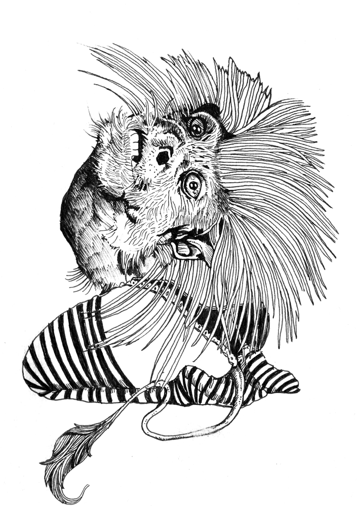 Monkeylegs