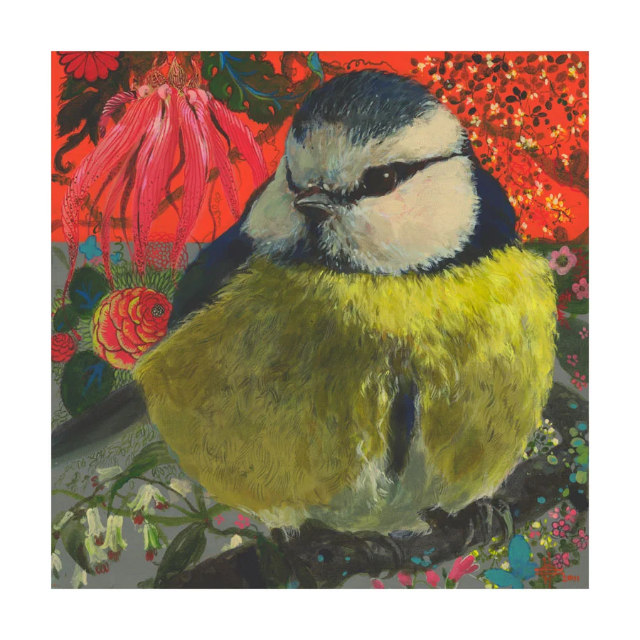 blue_Tit_II.jpg