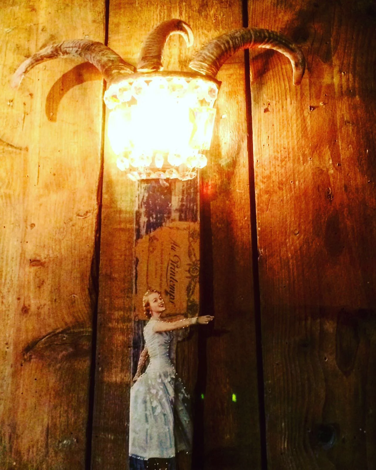 harlequinlamplight.luciesmailes.JPG