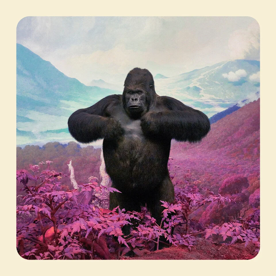 Kong Purple.jpeg