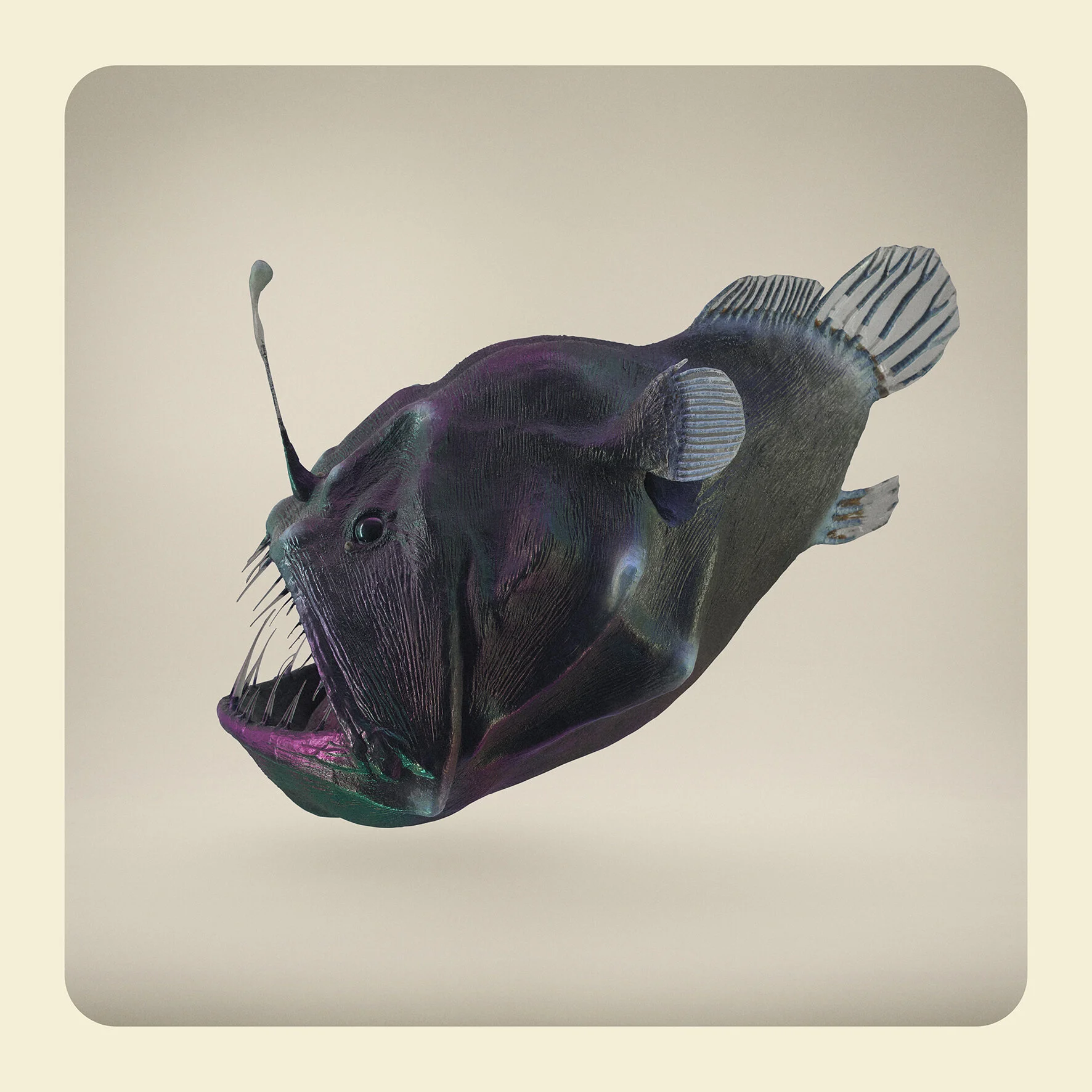 Angler Fish copy.jpg