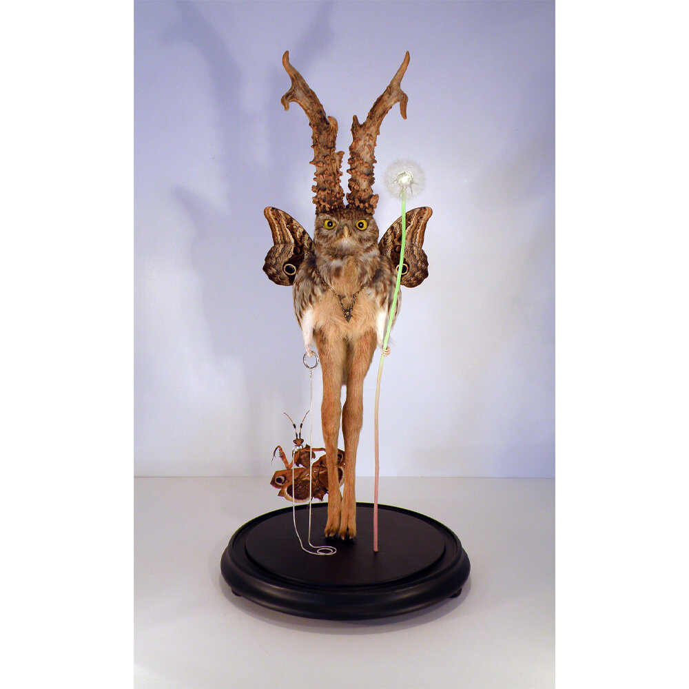 LIGHT BEARER