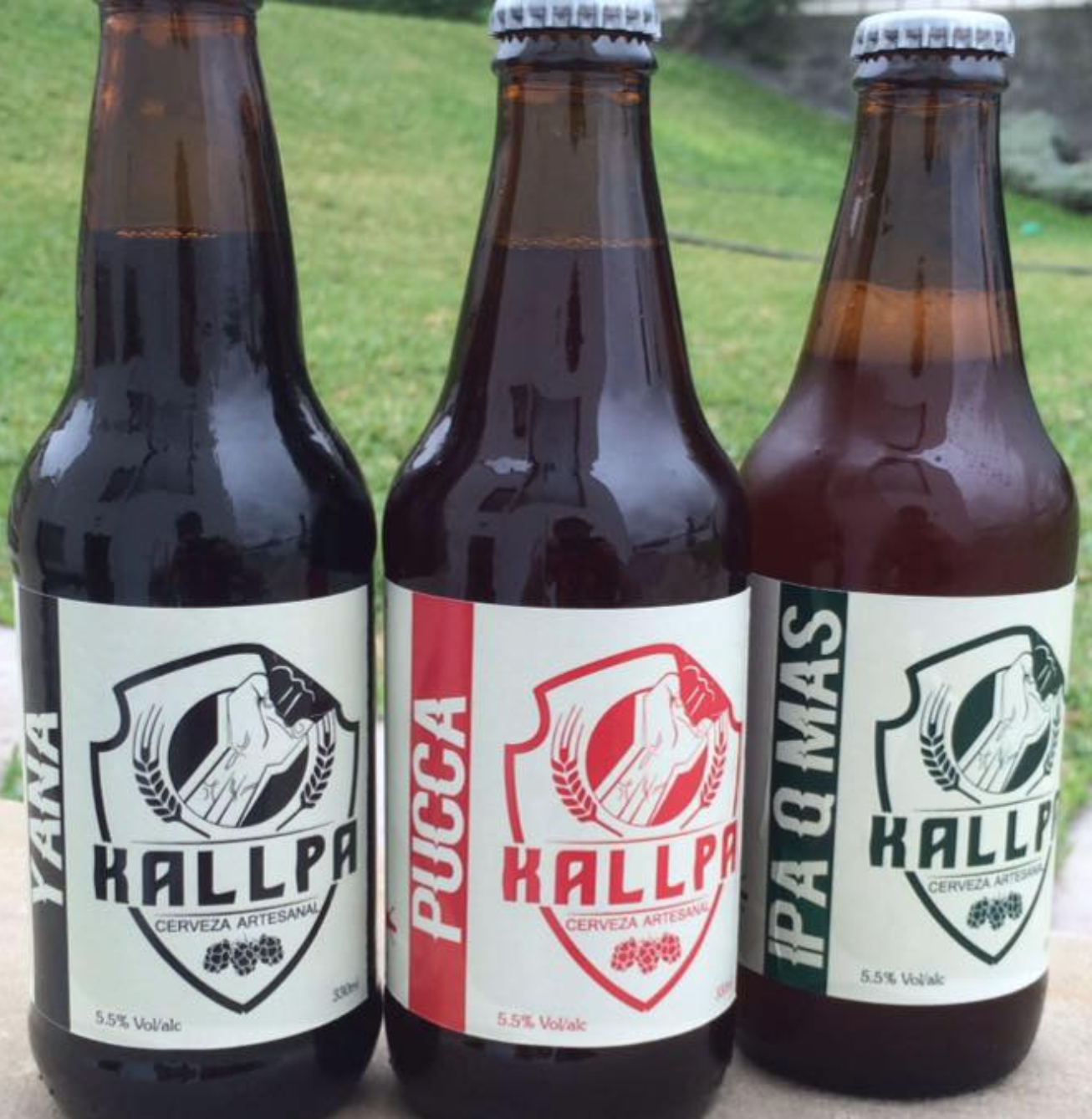 KALLPA CERVEZA ARTESANAL @facebook