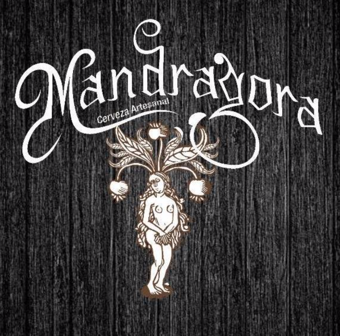MANDRAGORA @facebook @instagram
