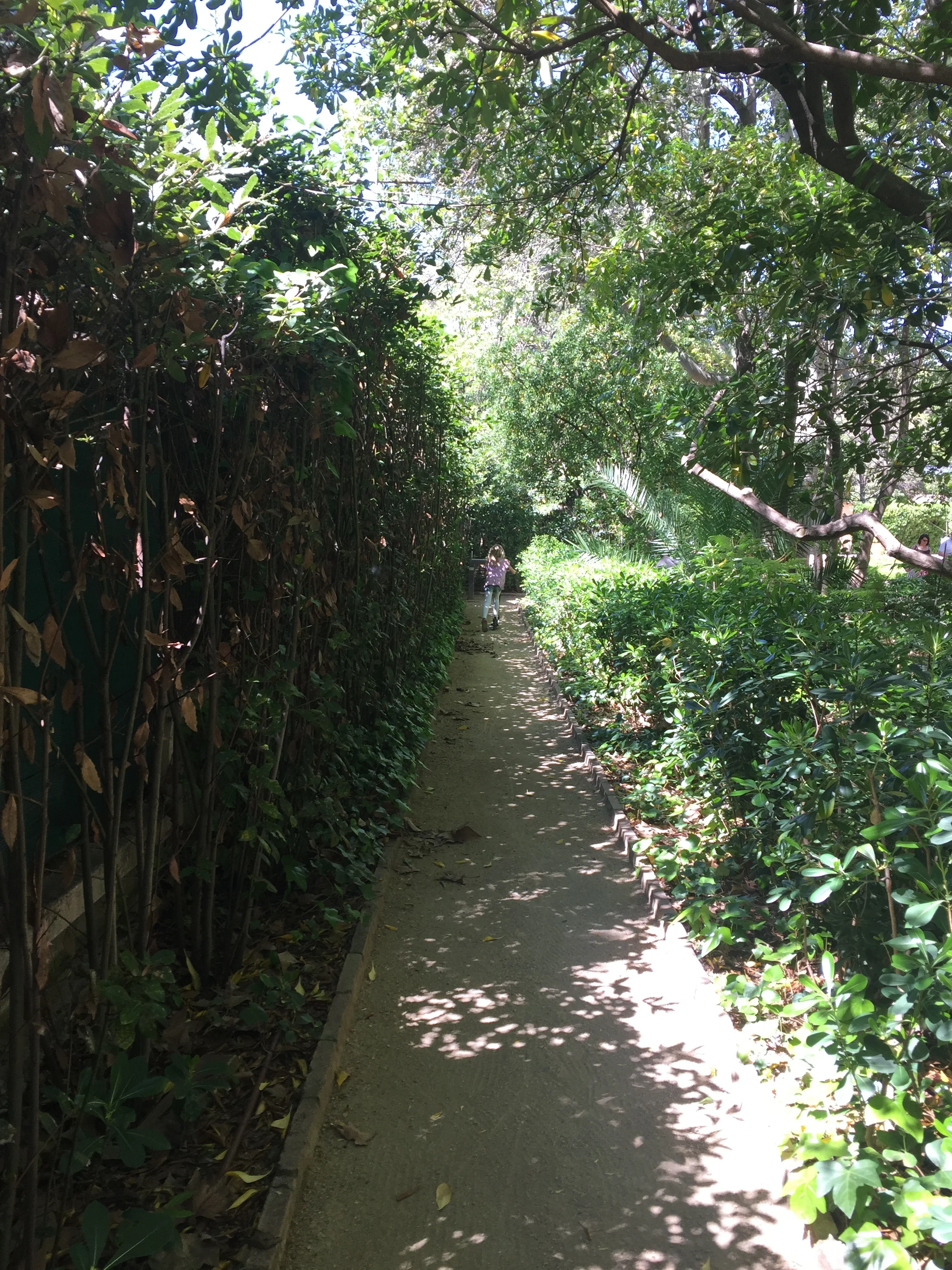 Exploring the beautiful winding paths of one of Barcelona's public parks, La Tamarita.