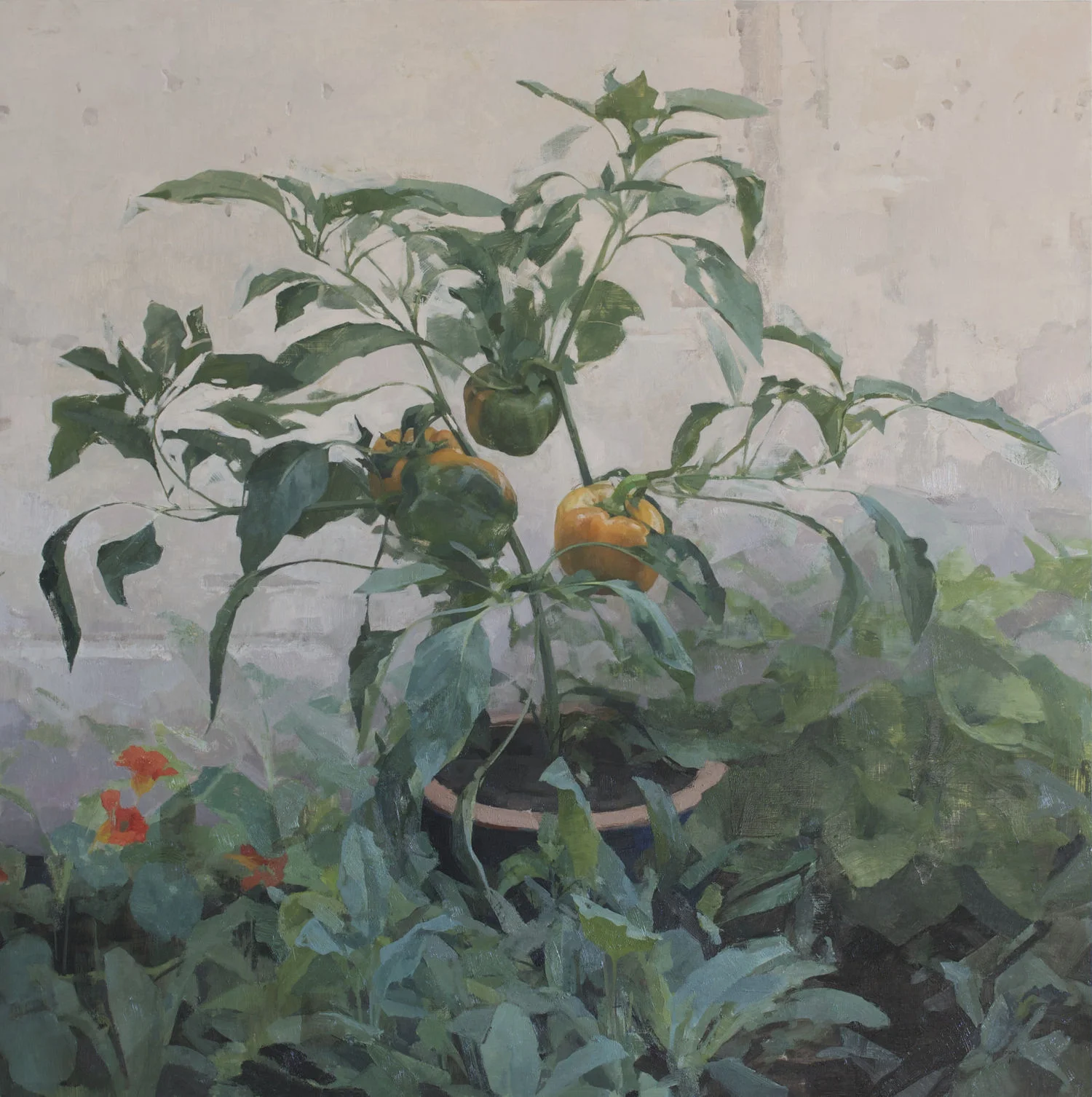Peppers