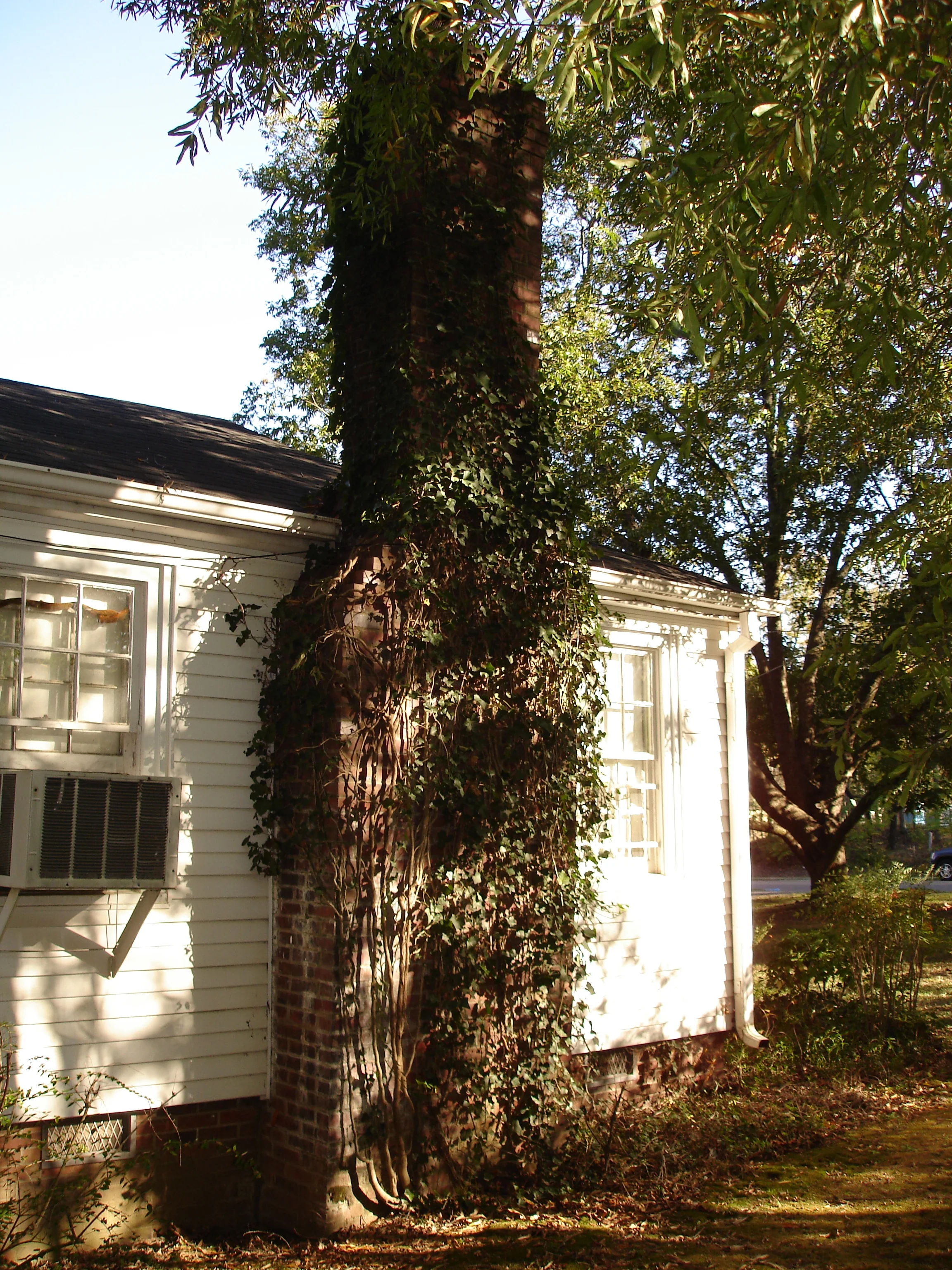 DSC01365.JPG