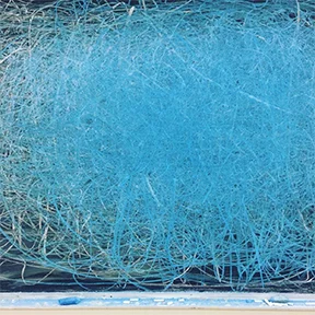 Figure 2. Sylvester. 2016.
