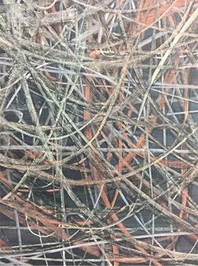 Figure 3. Sister Rosetta Tharp. 2017. Detail.