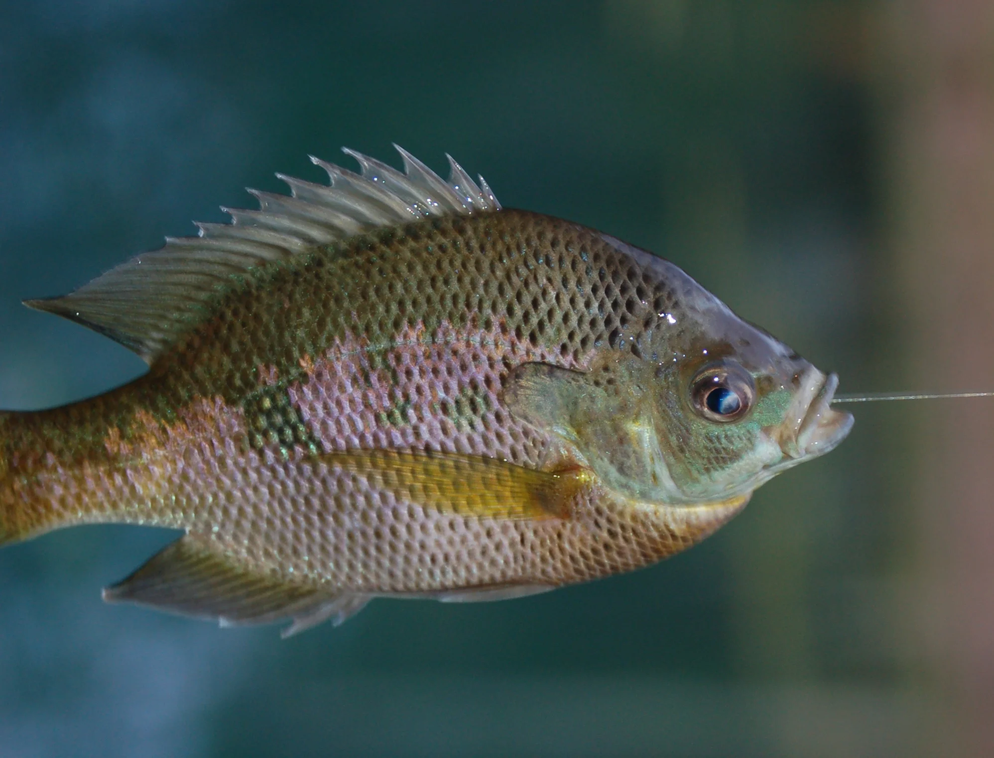 Journey: Filled to the Brim