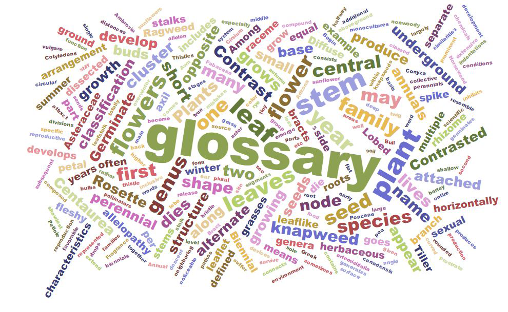Glossary-word-cloud.png