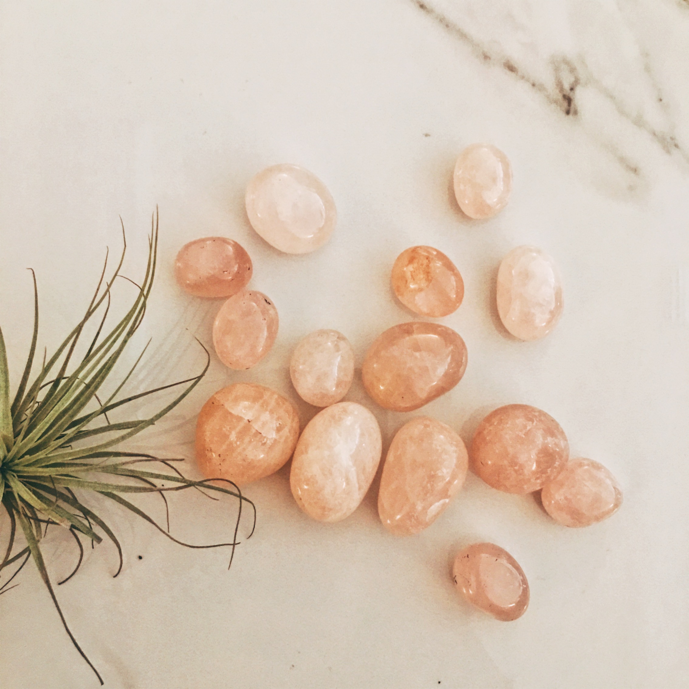 Tumbled Gemstones Rose Quartz