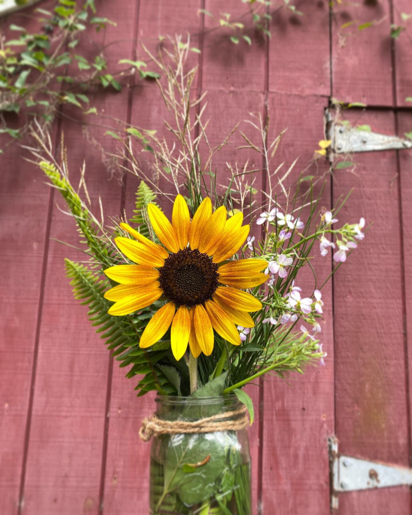 Bing bong!  Yous got till 6pm today to put your last minute orders in on the website for Mother&rsquo;s Day bouquets. 🌻 🧡

@farmerwillfl and I are offering delivery to St Pete and Lakeland residents PLUS a free pick up option for Tampa @thefarfores