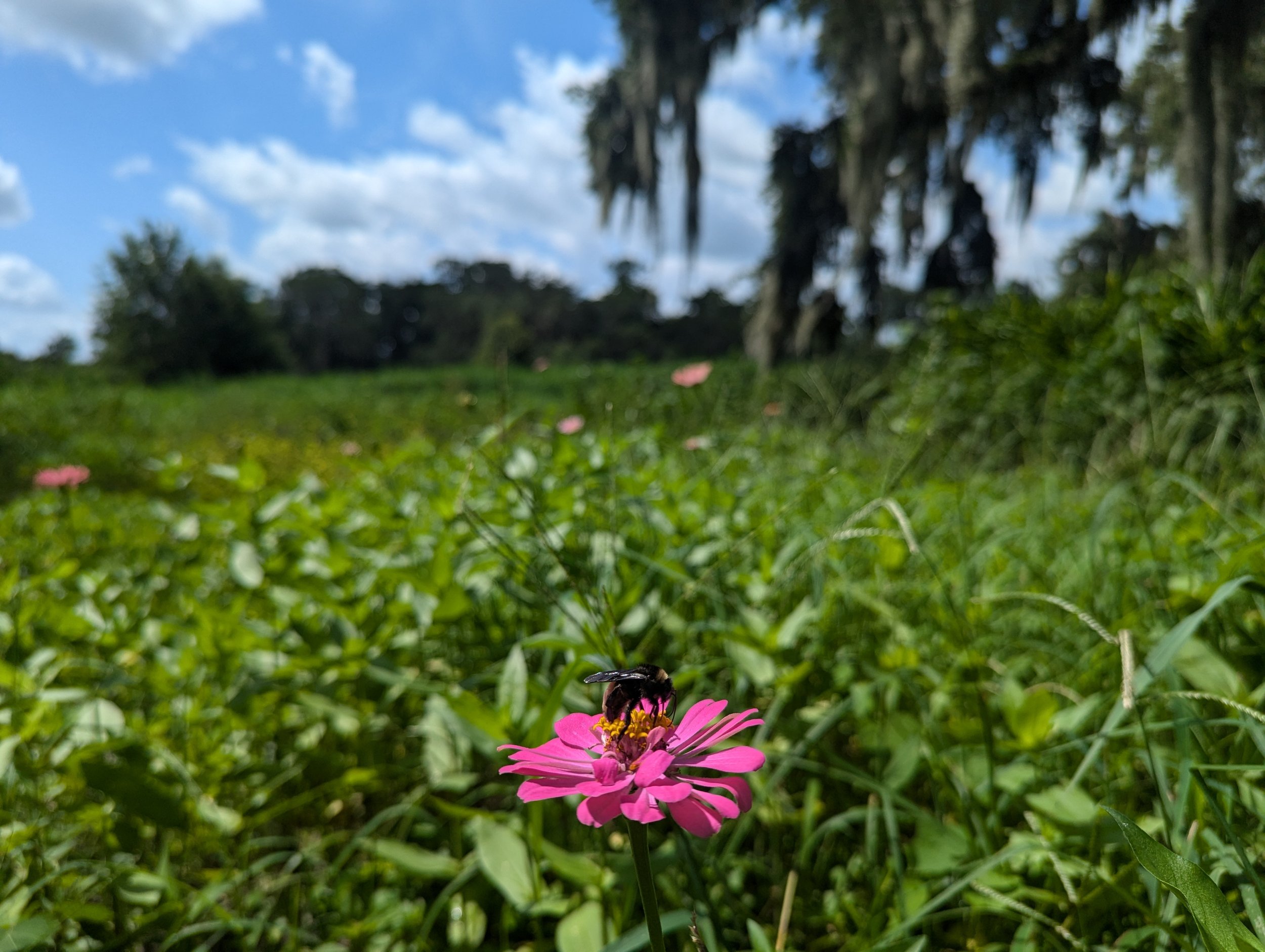 AC46B18C-9303-46ED-841F-D98C6CB8D29B.jpeg