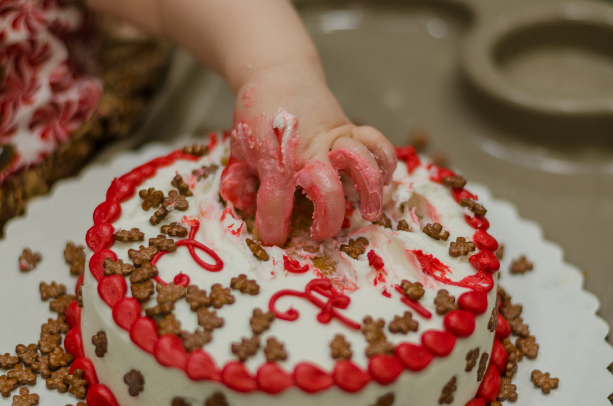 1st Birthday Party | Cake Smash | Harford County Maryland