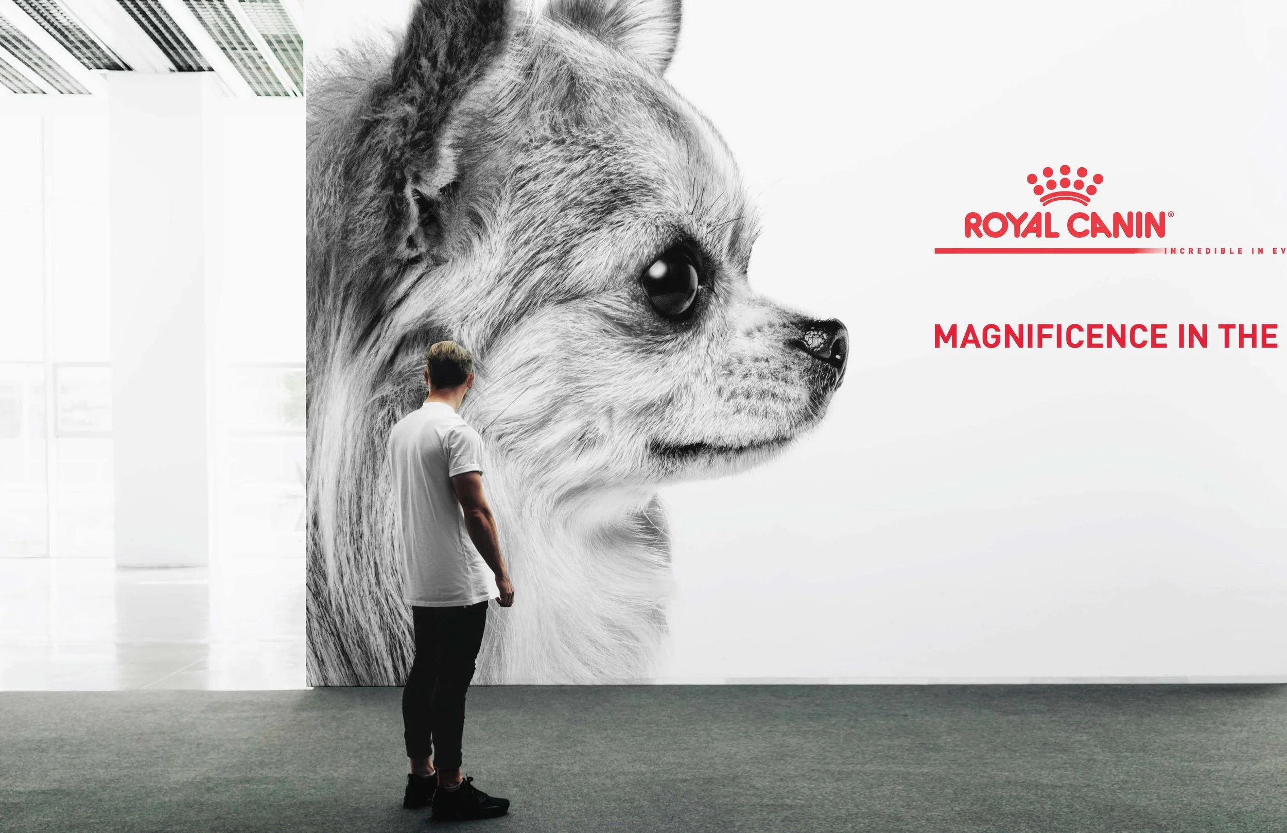 Facebook_static_dog_generic_Page_08.jpg