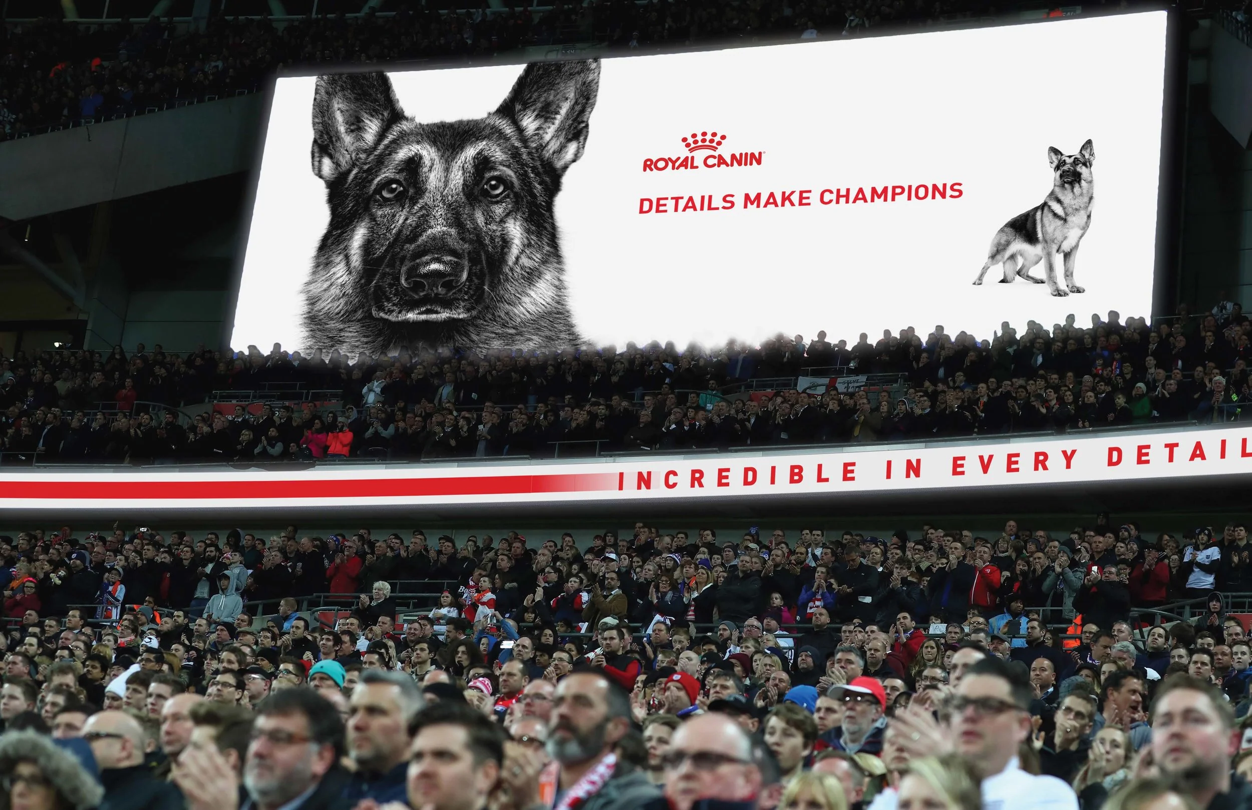 Facebook_static_dog_generic_Page_07.jpg